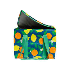 Citrus Insulated Picnic Bag